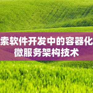 探索软件开发中的容器化与微服务架构技术
